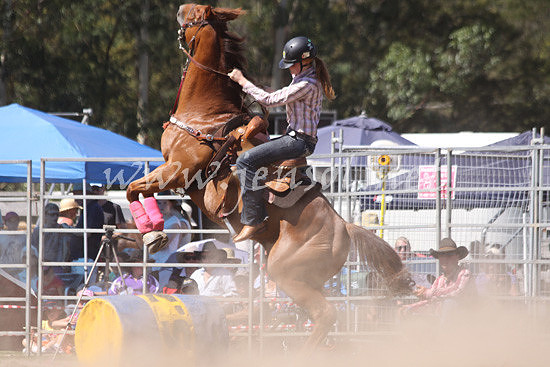 pictonrodeo2013kjs_0518