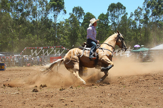 pictonrodeo2013one_0311