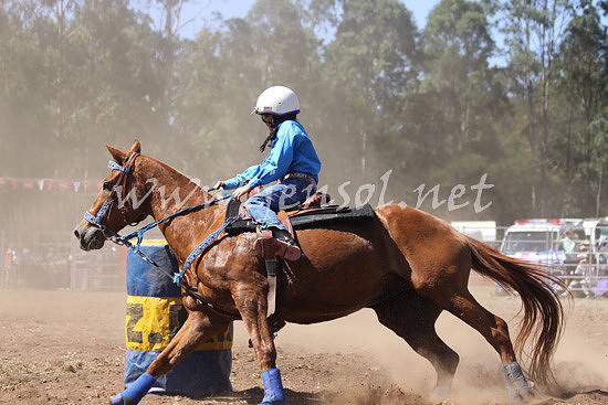 pictonrodeo2013kjs_0558
