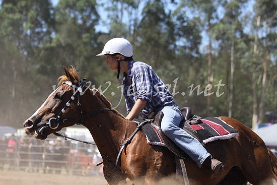 pictonrodeo2013kjs_0426