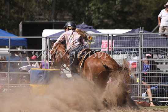 pictonrodeo2013kjs_0348