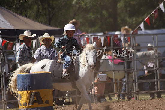 pictonrodeo2013kjs_0688