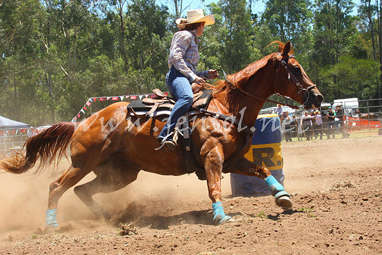 pictonrodeo2013one_0224