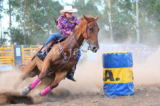 pictonrodeo2013one_0978