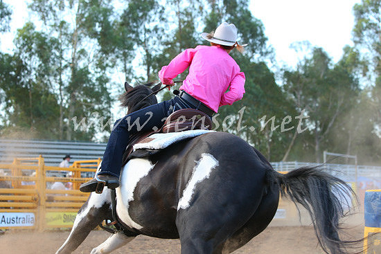 pictonrodeo2013one_1078