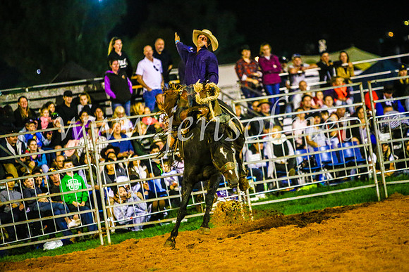CamdenShowRodeo2017_1333