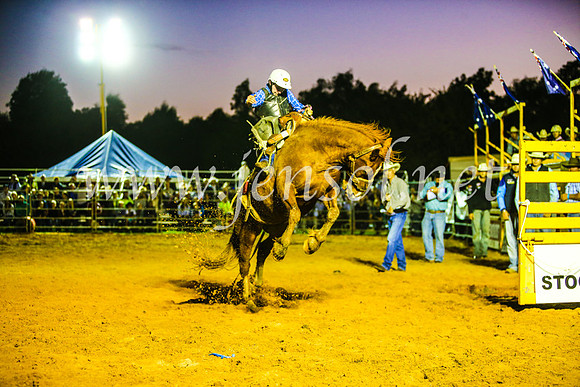 CamdenShowRodeo2017_0340