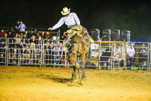 CamdenShowRodeo2017_1390