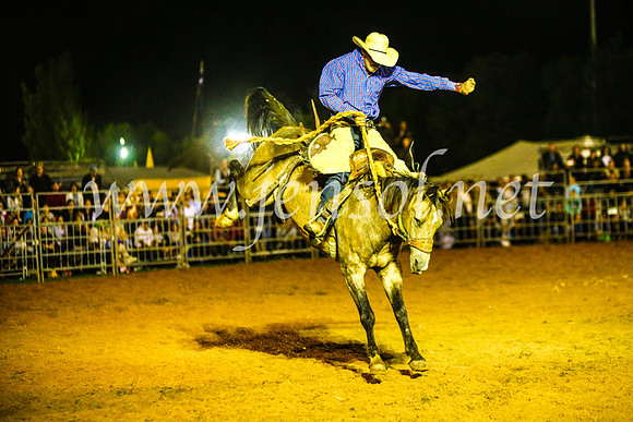 CamdenShowRodeo2017_1462