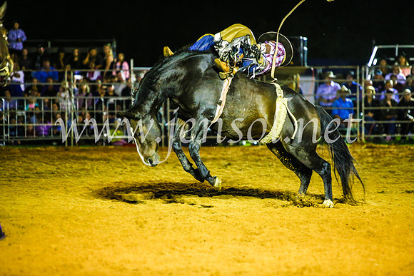 CamdenShowRodeo2017_0875