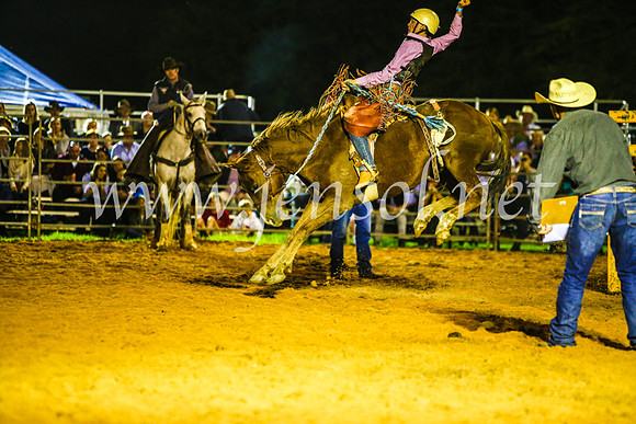 CamdenShowRodeo2017_0393