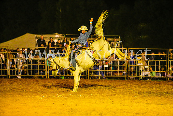 CamdenShowRodeo2017_1489