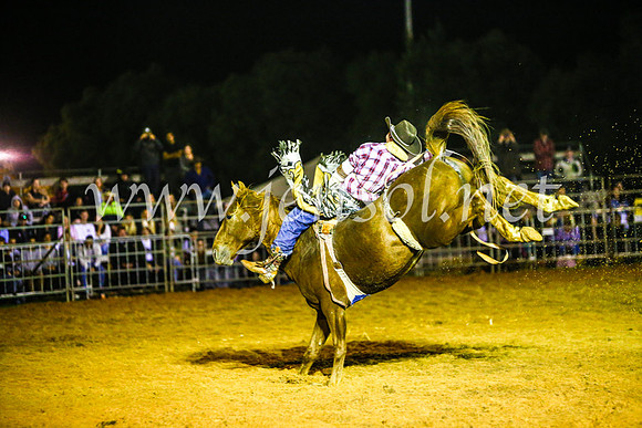 CamdenShowRodeo2017_1843