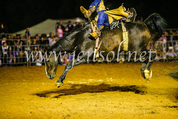 CamdenShowRodeo2017_0880