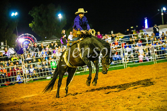 CamdenShowRodeo2017_1342