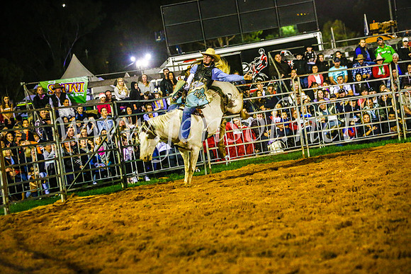 CamdenShowRodeo2017_0773