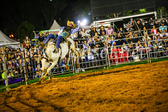 CamdenShowRodeo2017_0788