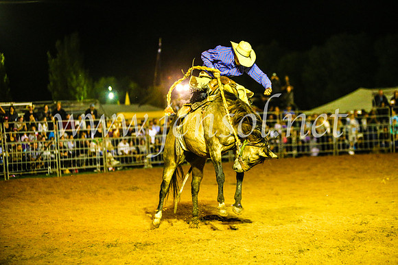 CamdenShowRodeo2017_1458