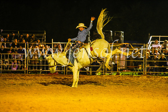 CamdenShowRodeo2017_1470