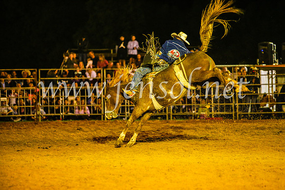 CamdenShowRodeo2017_0847