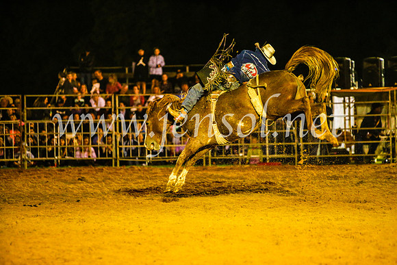 CamdenShowRodeo2017_0850