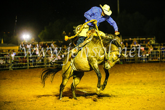 CamdenShowRodeo2017_1451