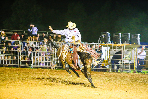 CamdenShowRodeo2017_1393