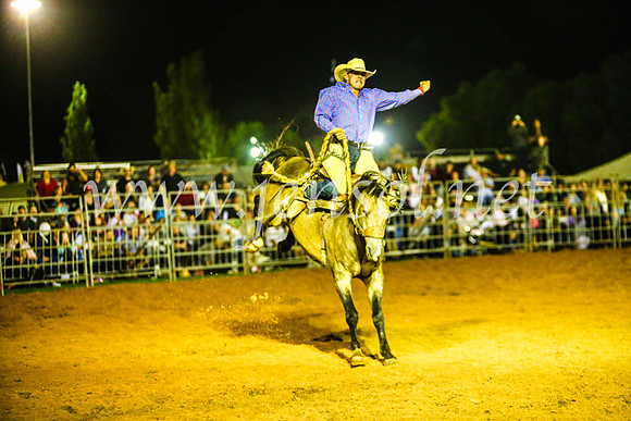 CamdenShowRodeo2017_1443