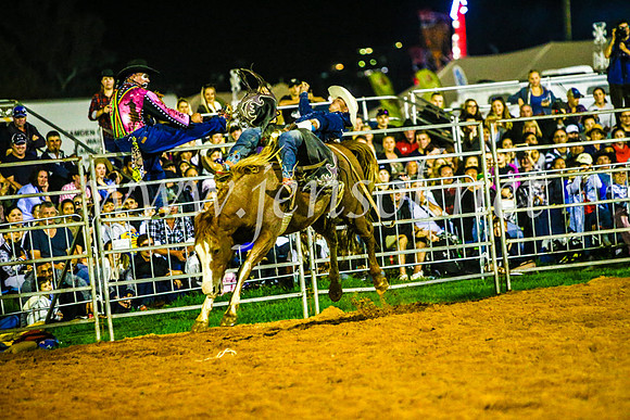 CamdenShowRodeo2017_0861
