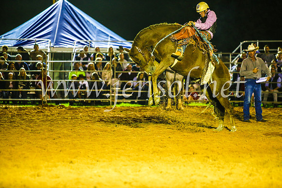 CamdenShowRodeo2017_0409