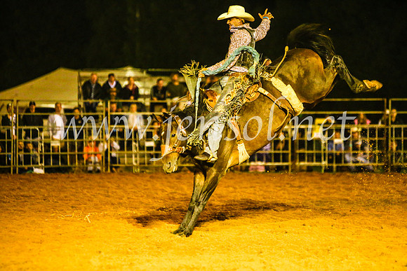 CamdenShowRodeo2017_1712