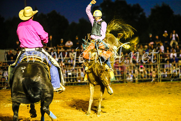 CamdenShowRodeo2017_0449