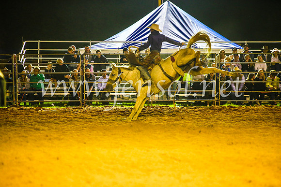 CamdenShowRodeo2017_1927