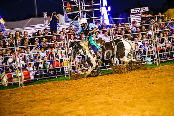 CamdenShowRodeo2017_0490