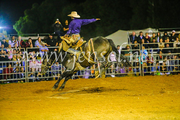 CamdenShowRodeo2017_1310