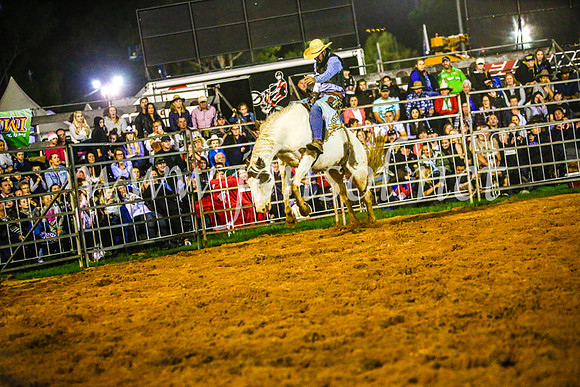 CamdenShowRodeo2017_0771