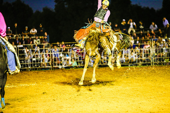 CamdenShowRodeo2017_0431