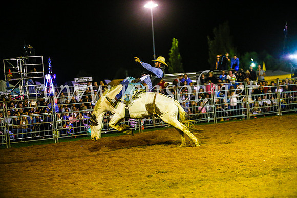 CamdenShowRodeo2017_0768