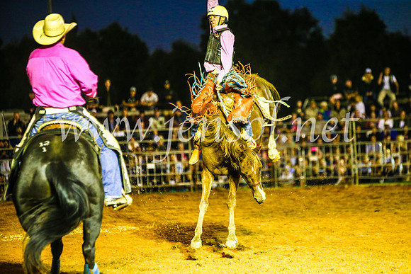 CamdenShowRodeo2017_0447