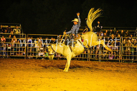 CamdenShowRodeo2017_1485