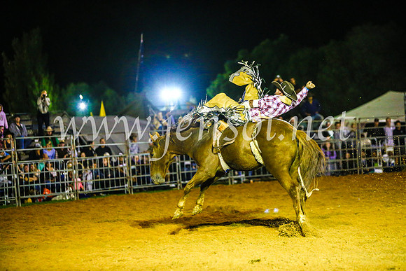 CamdenShowRodeo2017_1854