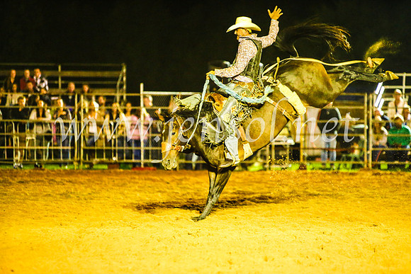 CamdenShowRodeo2017_1721