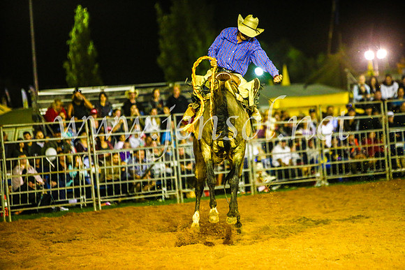 CamdenShowRodeo2017_1440