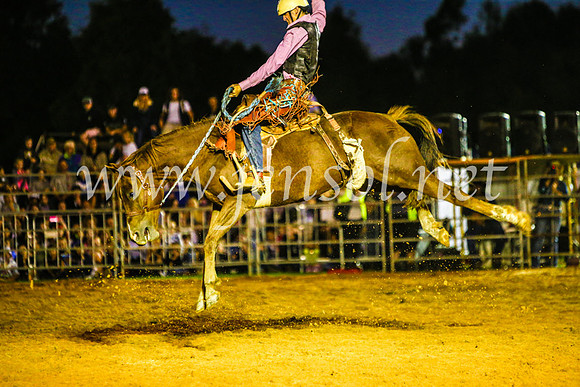 CamdenShowRodeo2017_0437
