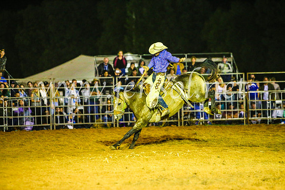 CamdenShowRodeo2017_1416