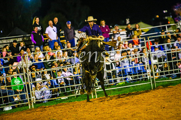 CamdenShowRodeo2017_1329