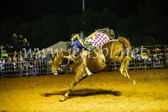 CamdenShowRodeo2017_1845