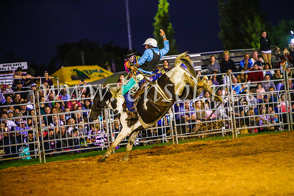 CamdenShowRodeo2017_0473