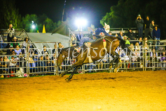 CamdenShowRodeo2017_1814