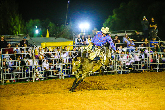 CamdenShowRodeo2017_1426